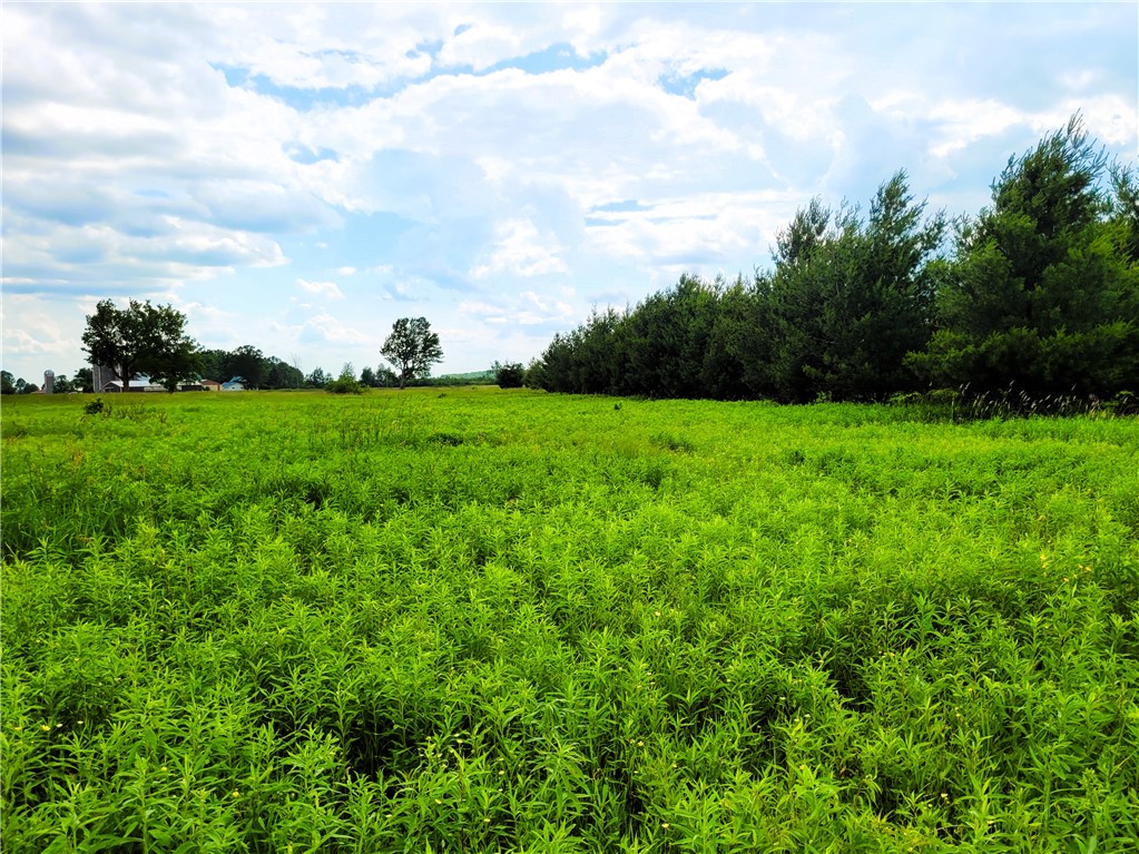 25 Acres on Progressive Road
