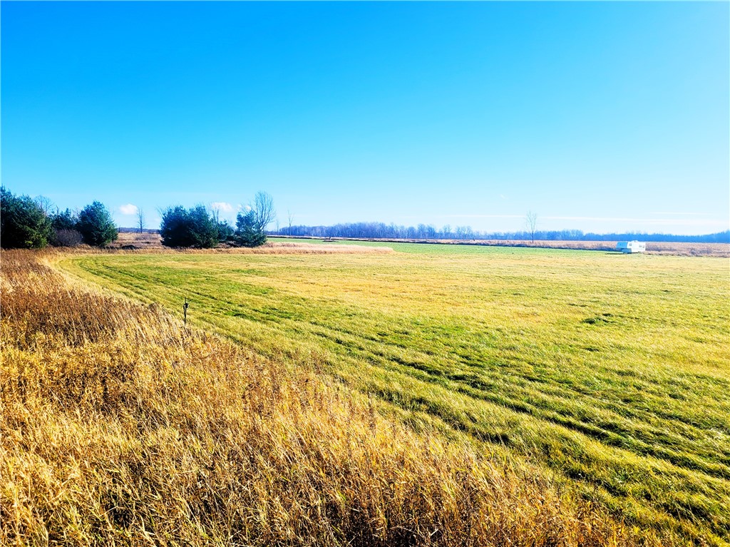 25 Acres on Progressive Road