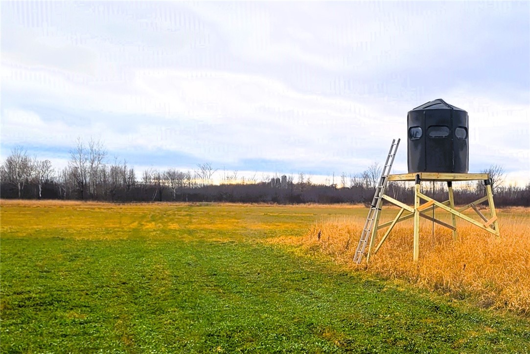 25 Acres on Progressive Road