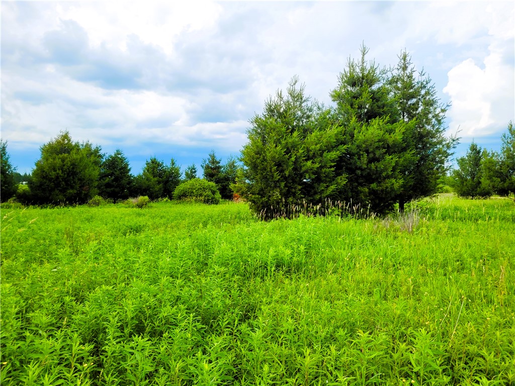 25 Acres on Progressive Road