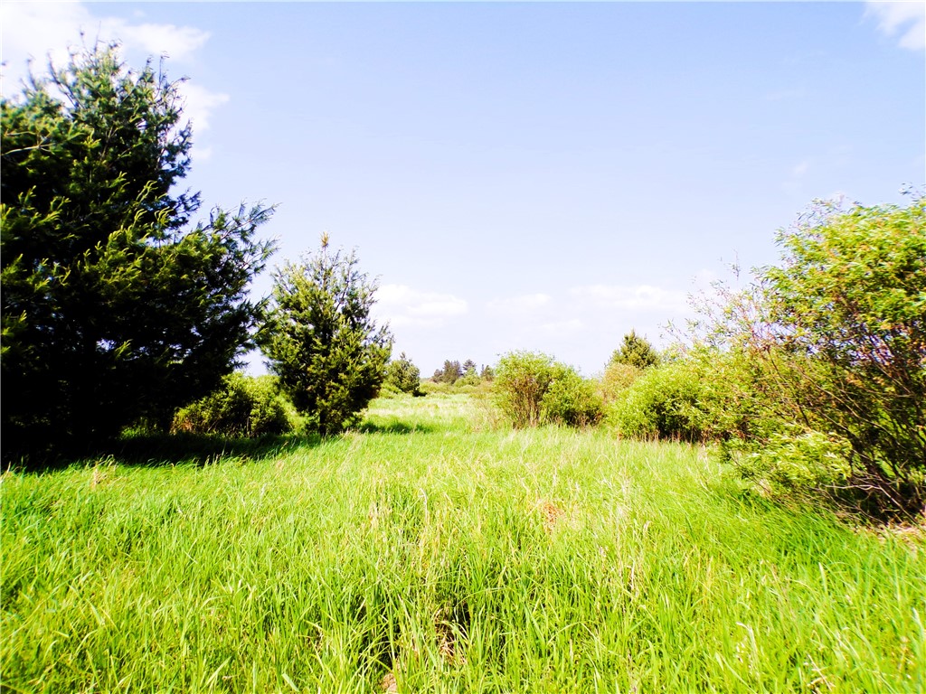 25 Acres on Progressive Road