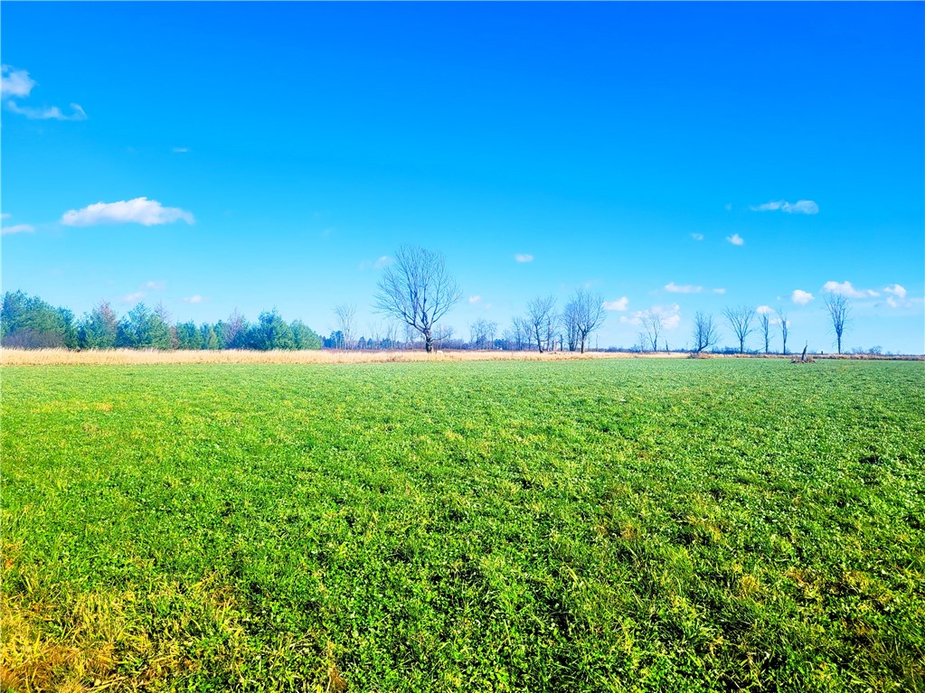 25 Acres on Progressive Road