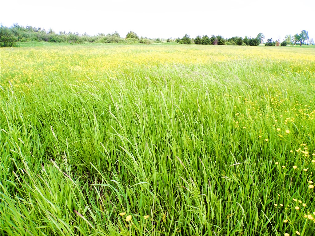 25 Acres on Progressive Road