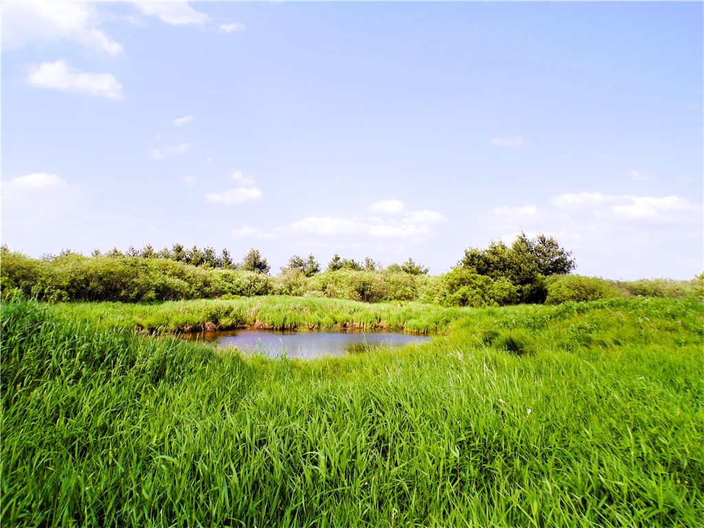 25 Acres on Progressive Road