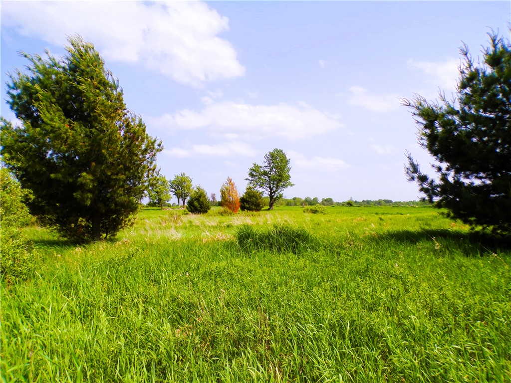 25 Acres on Progressive Road