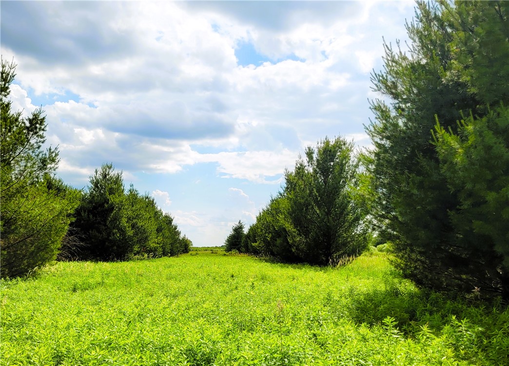 25 Acres on Progressive Road