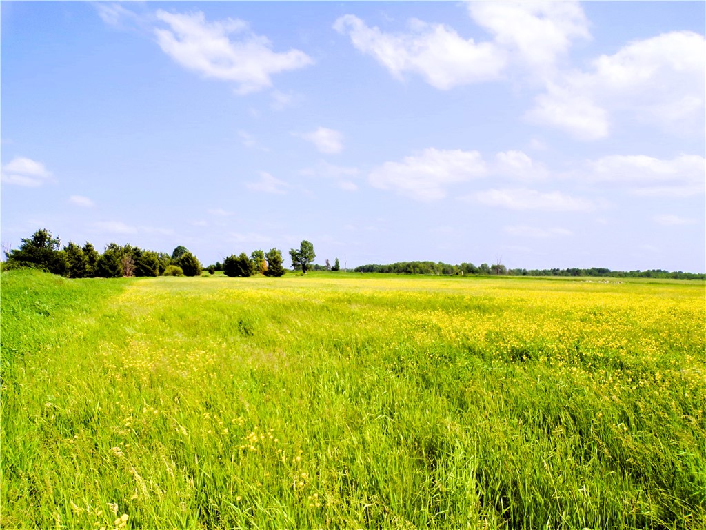 25 Acres on Progressive Road