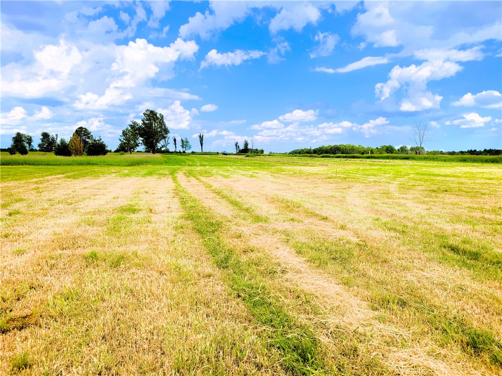 25 Acres on Progressive Road