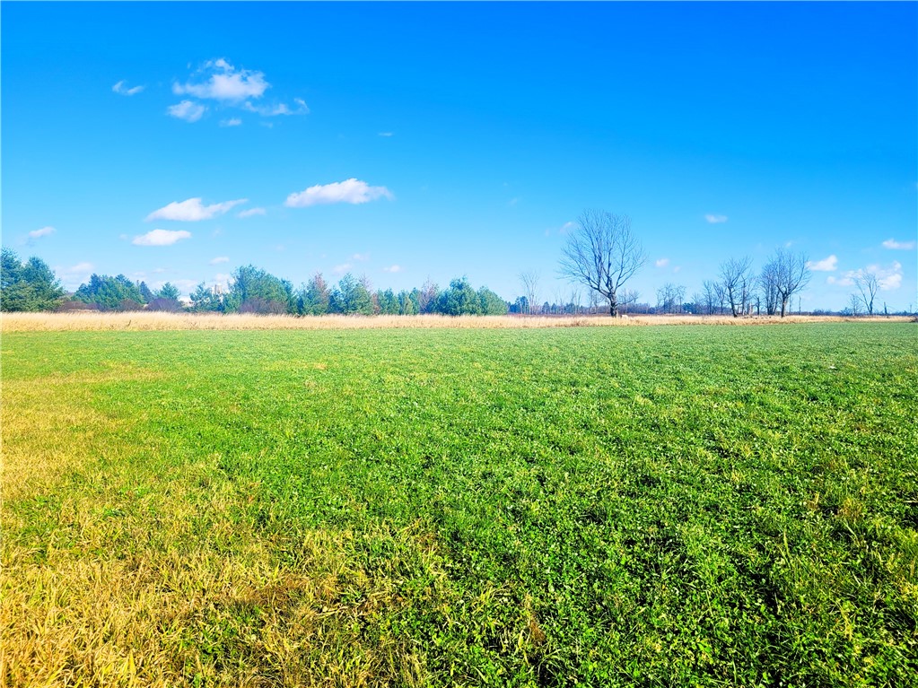 25 Acres on Progressive Road