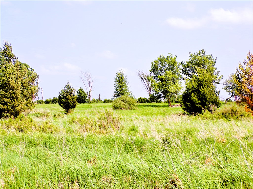 25 Acres on Progressive Road