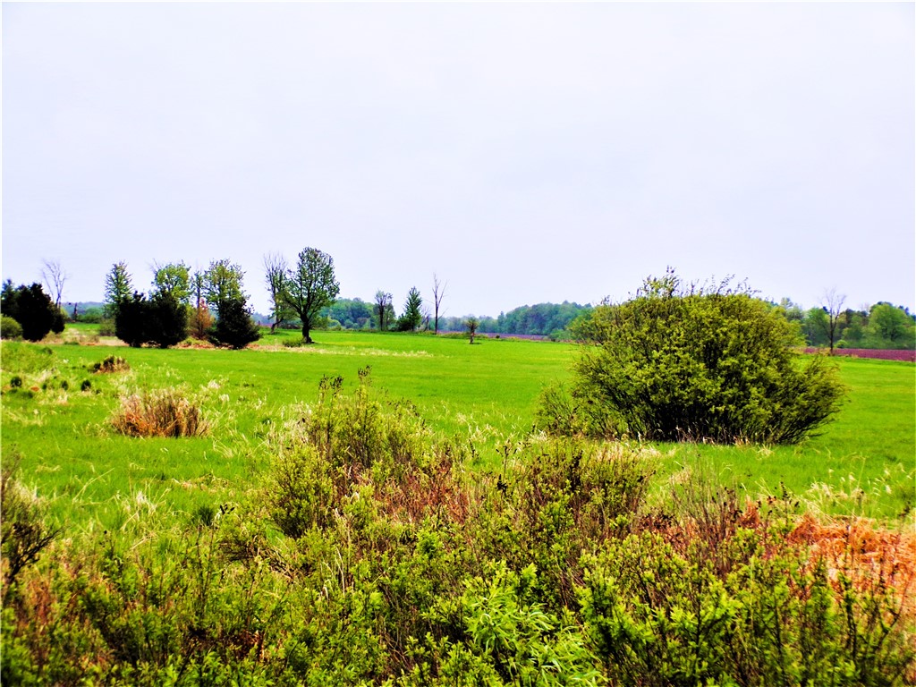 25 Acres on Progressive Road