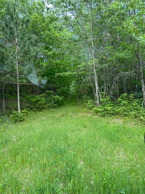 000 Little Bass Lake Road