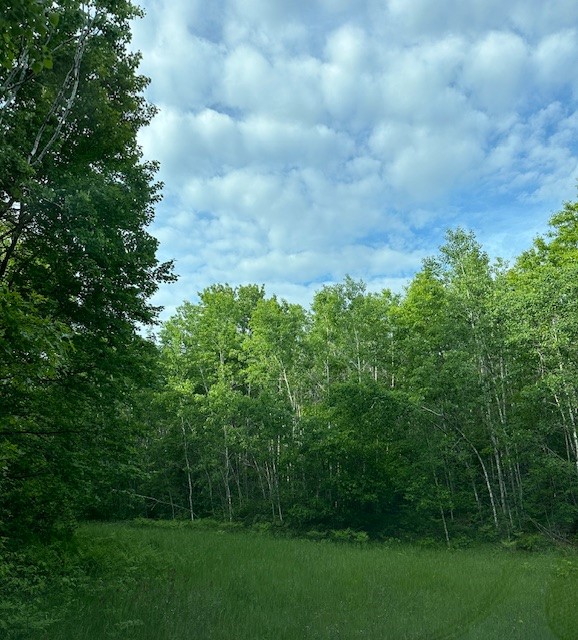 000 Little Bass Lake Road
