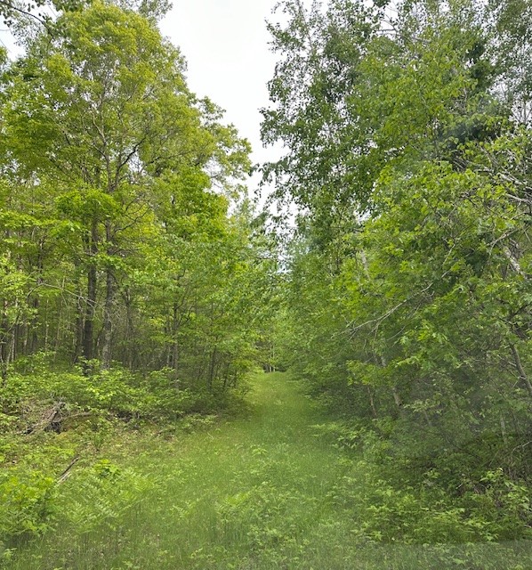 000 Little Bass Lake Road