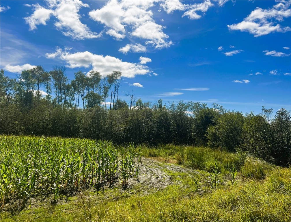 2 Acres Hwy 27 and County P