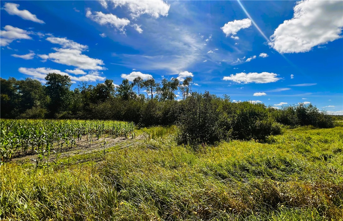 2 Acres Hwy 27 and County P
