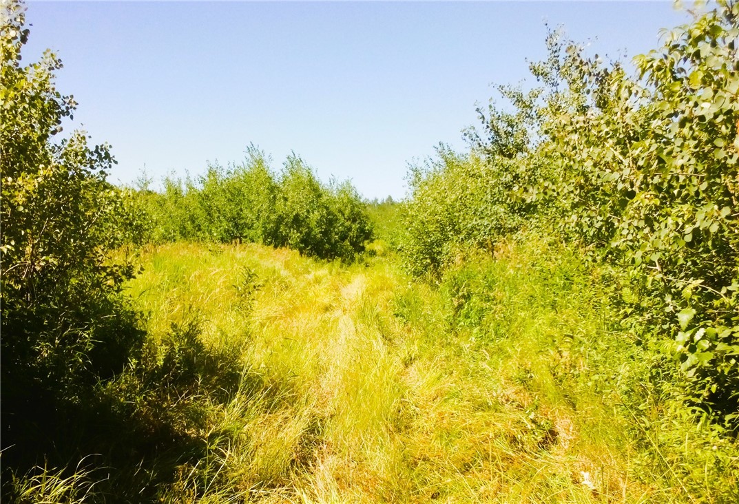 N2097 Sheep Camp Road