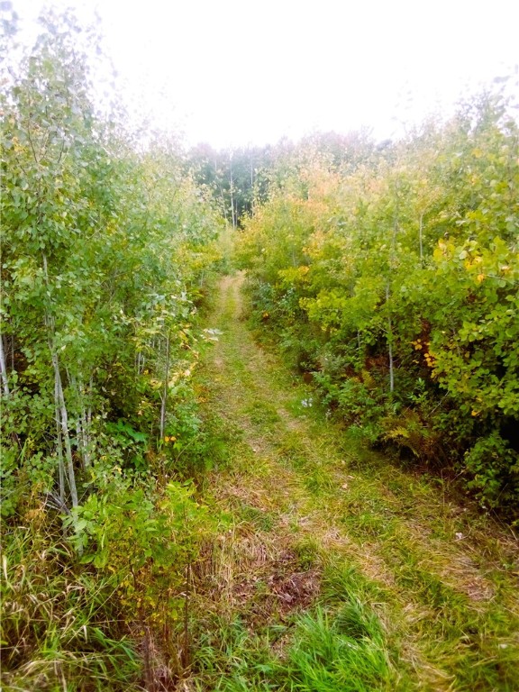 N2097 Sheep Camp Road