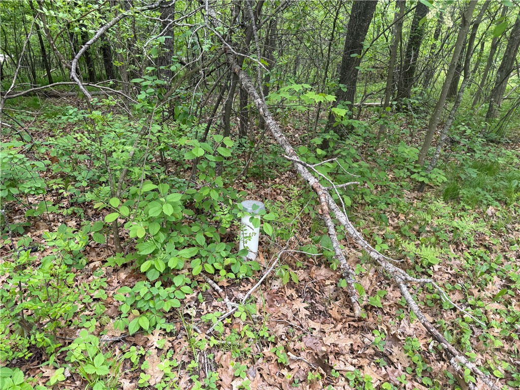 N1399 Ranch Road