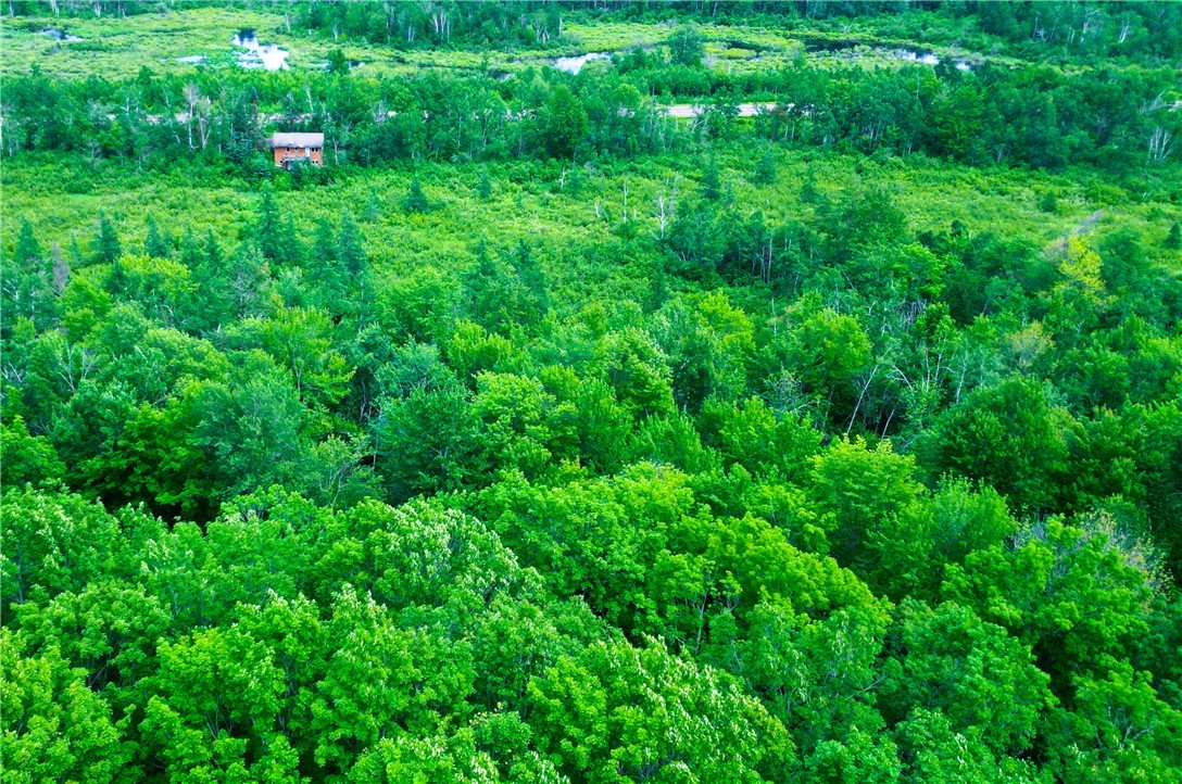N8281 US HWY 27