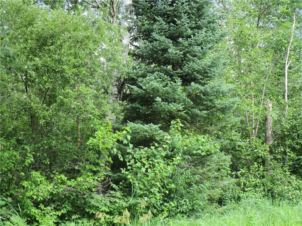 000 County Road A