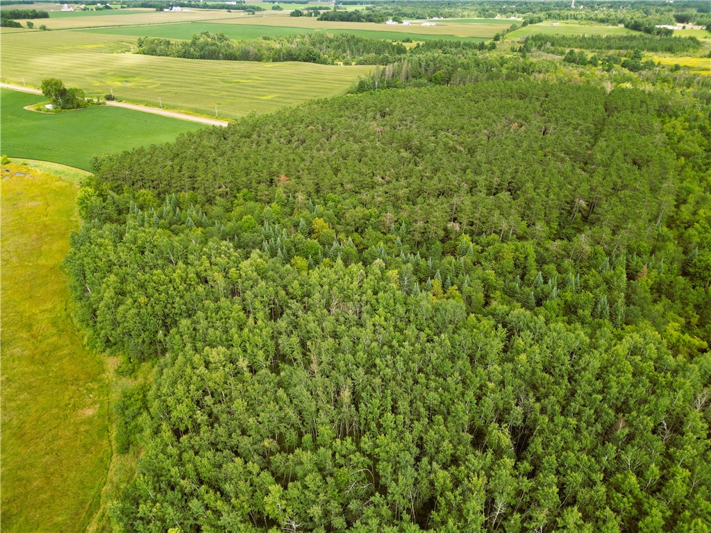 34 Acres on Nachtwey Road