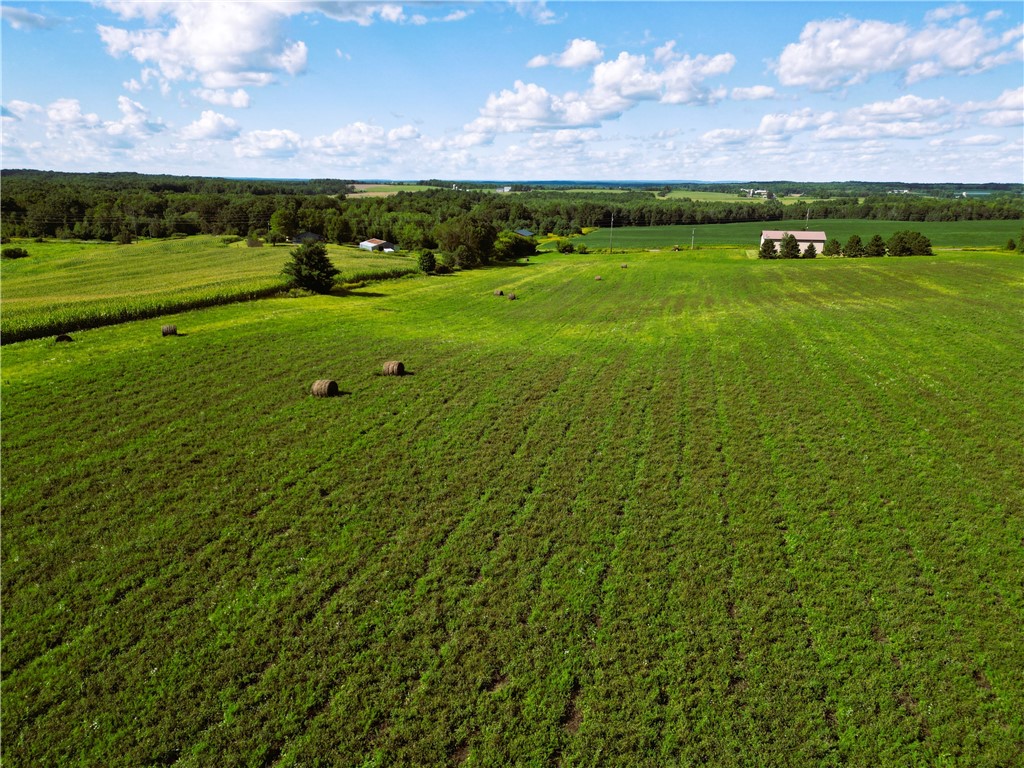 10 Acres 235th Ave.