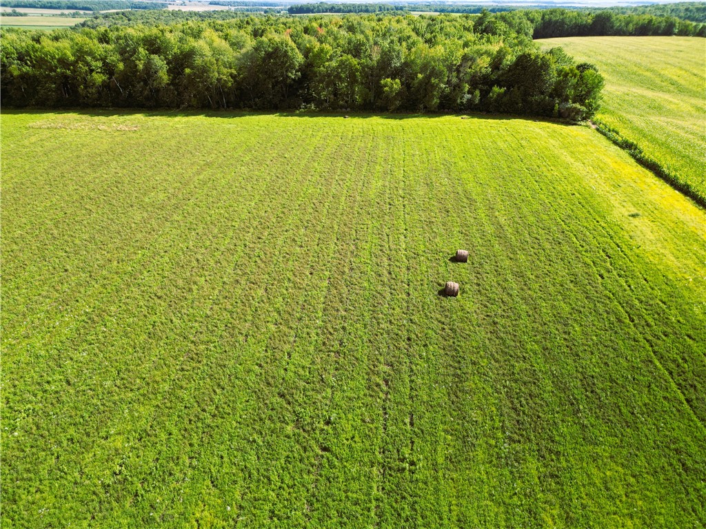 10 Acres 235th Ave.