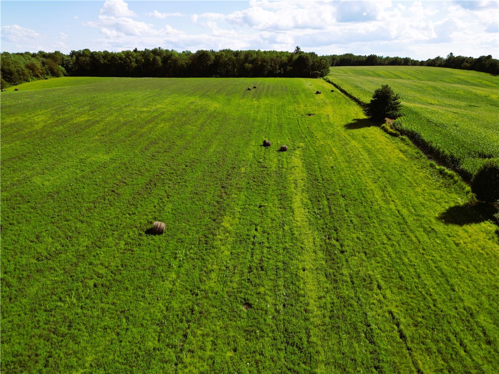 10 Acres 235th Ave.