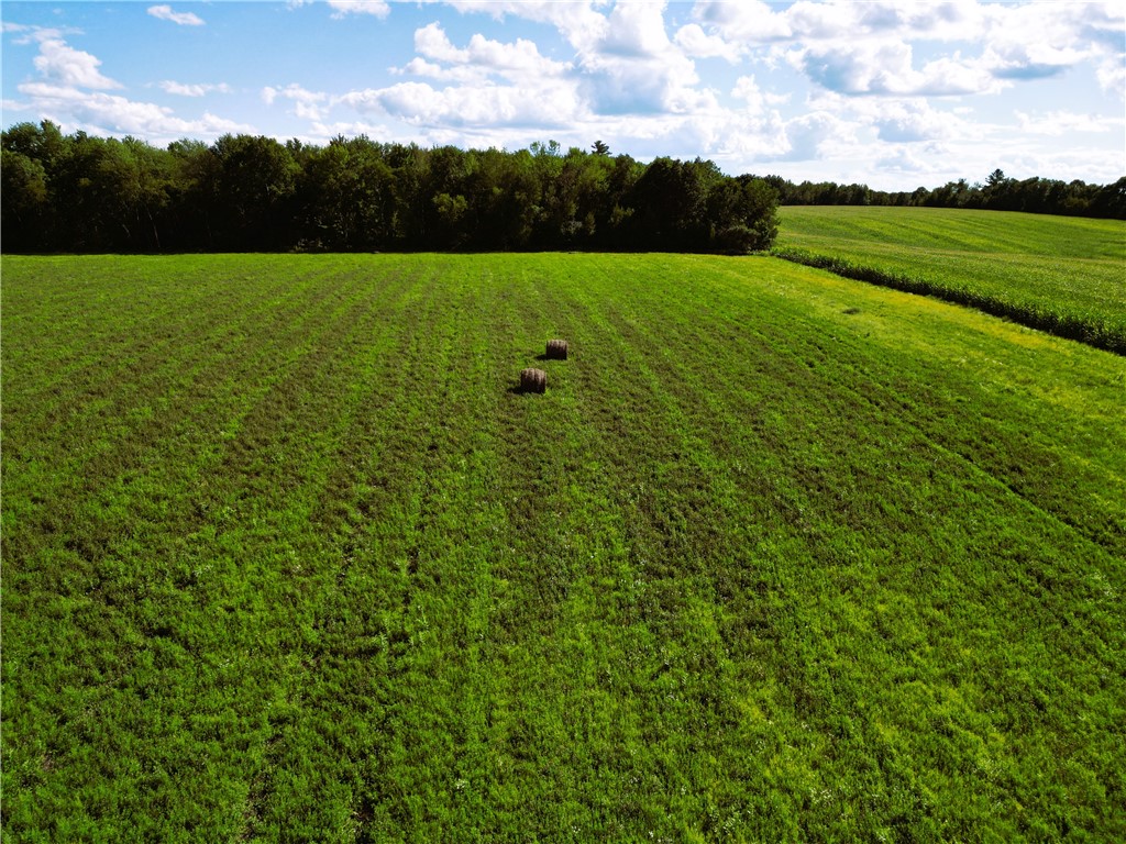 10 Acres 235th Ave.