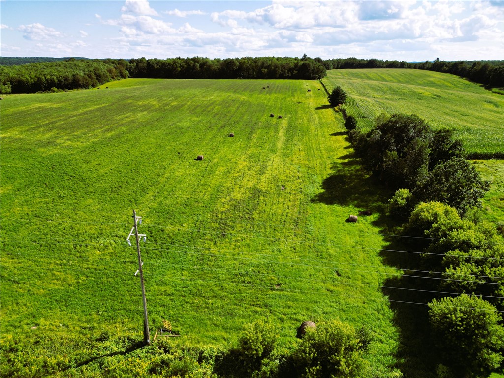 10 Acres 235th Ave.