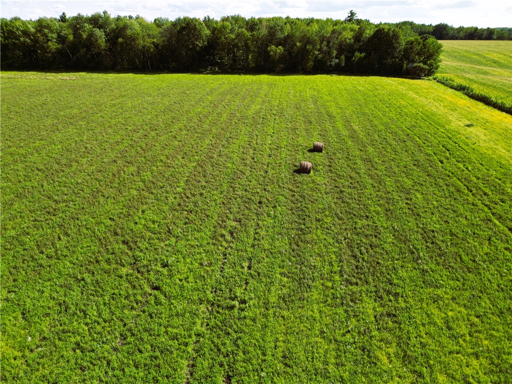 10 Acres 235th Ave.