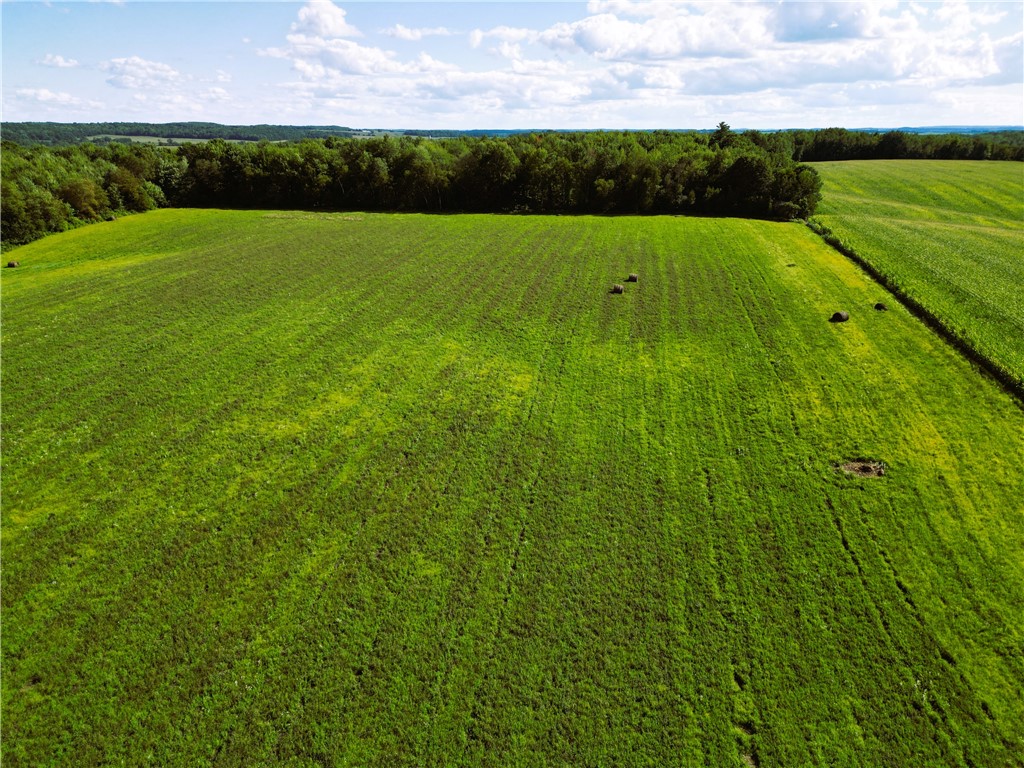 10 Acres 235th Ave.