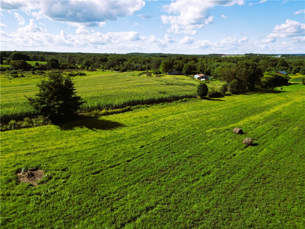 10 Acres 235th Ave.