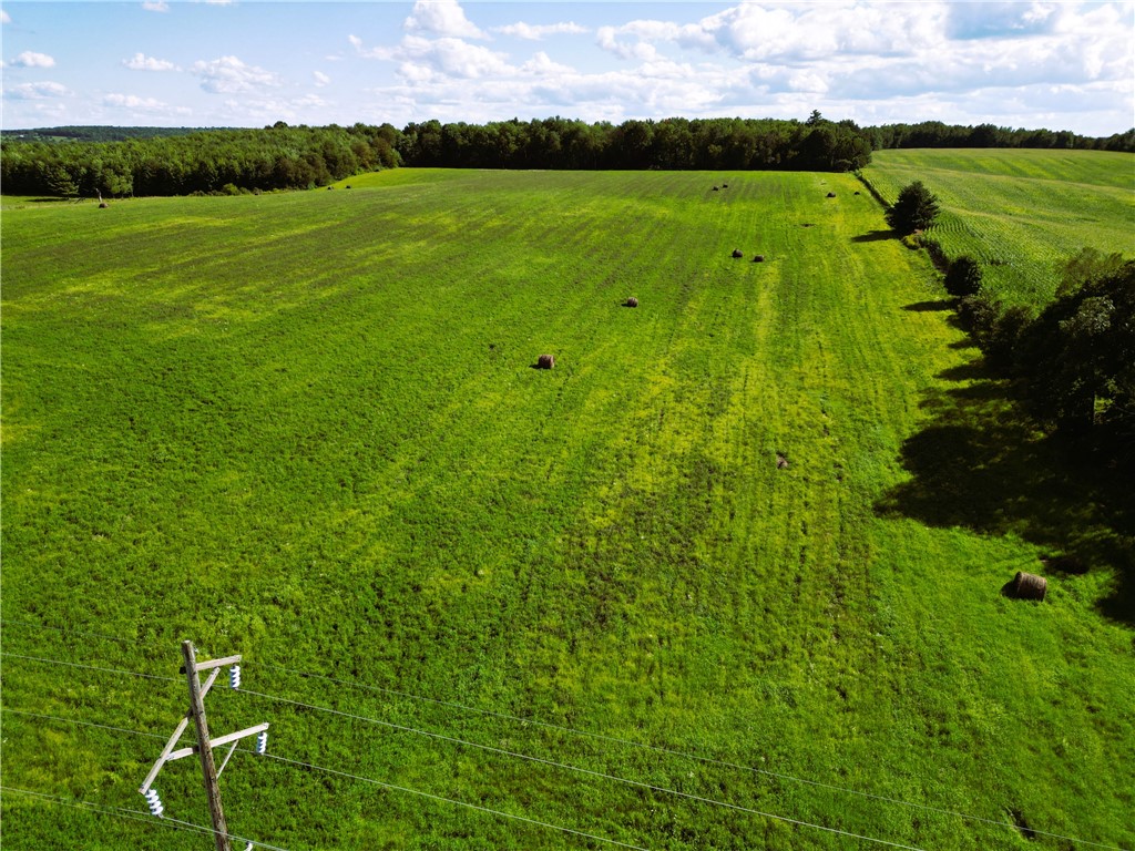 10 Acres 235th Ave.