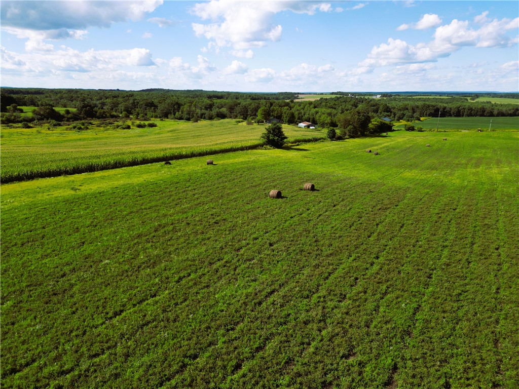 10 Acres 235th Ave.