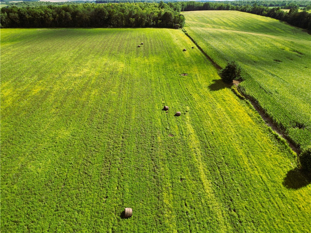 10 Acres 235th Ave.