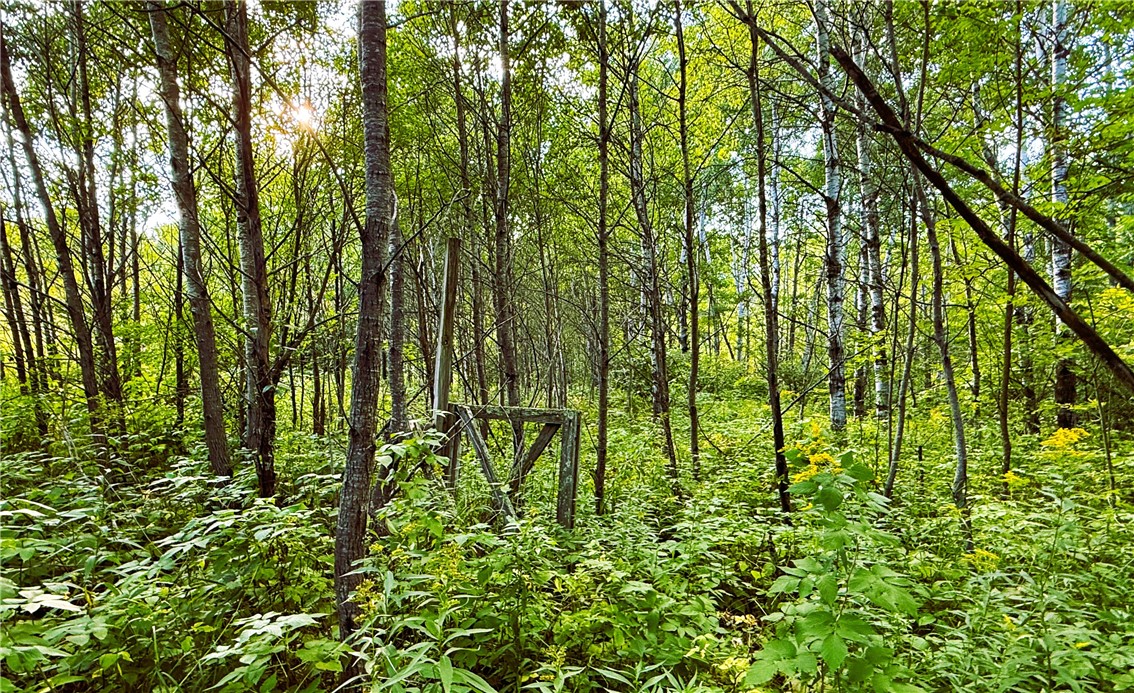 1553 N Wooddale Road