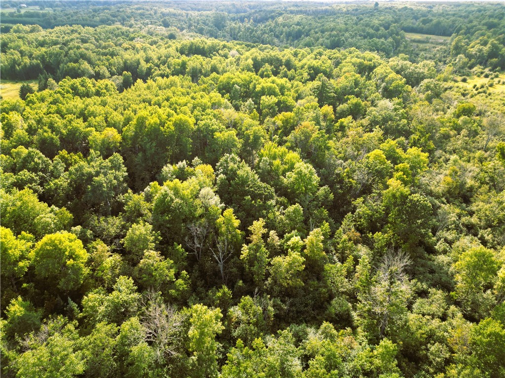 1553 N Wooddale Road