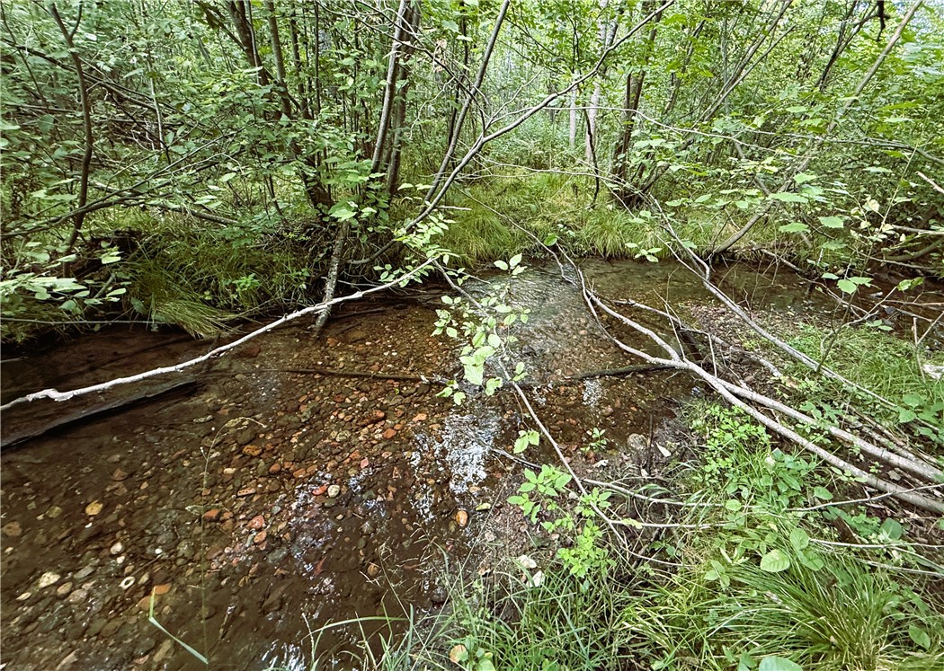 1553 N Wooddale Road