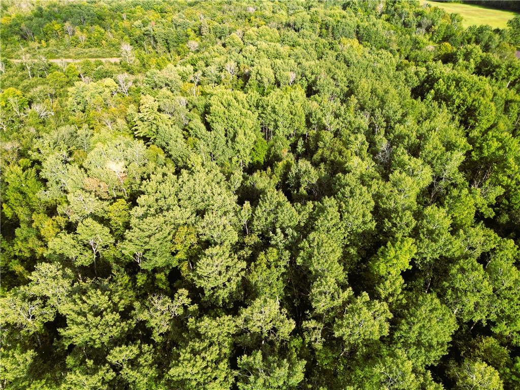 1553 N Wooddale Road