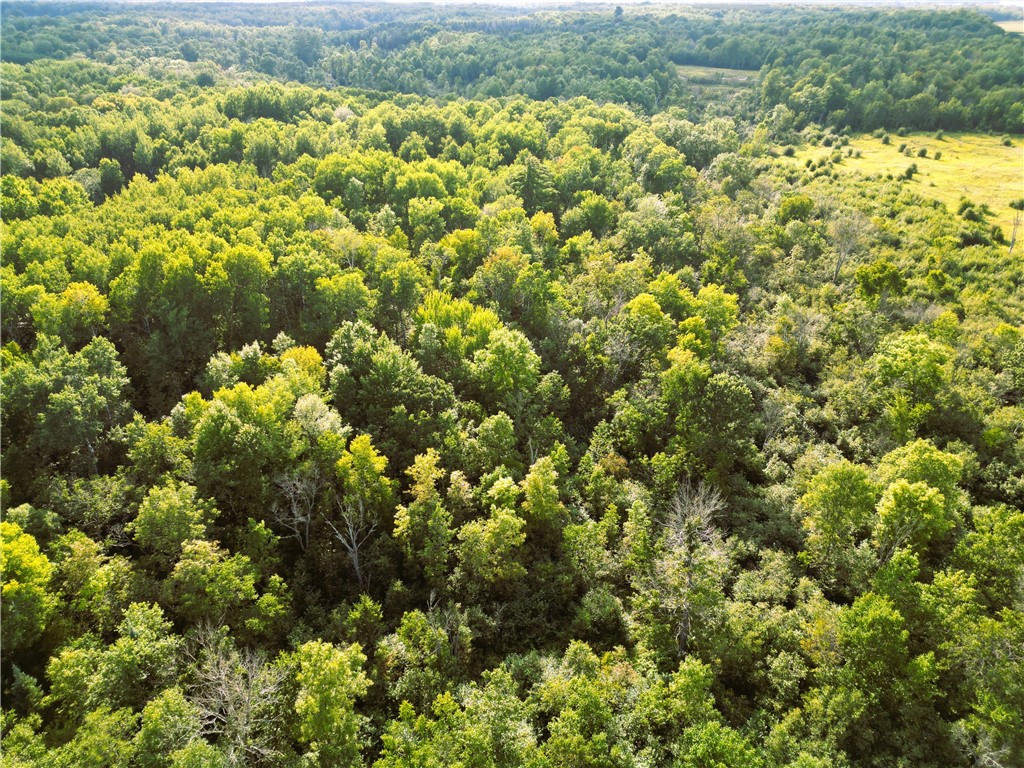 1553 N Wooddale Road