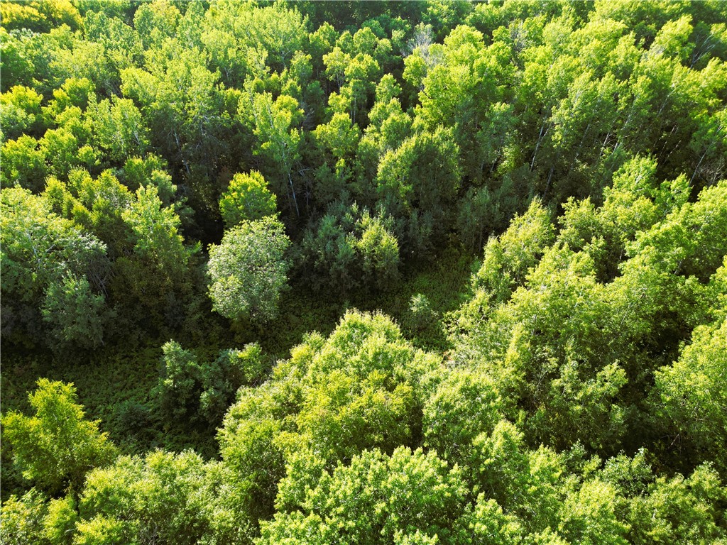 1553 N Wooddale Road