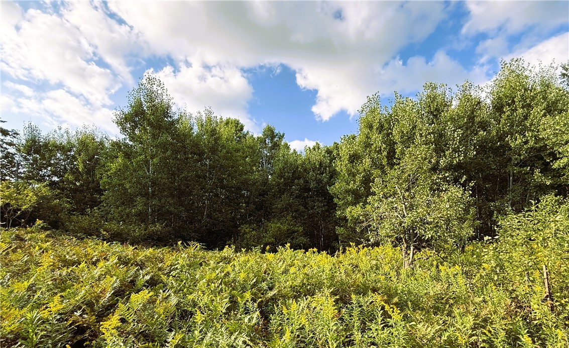 1553 N Wooddale Road