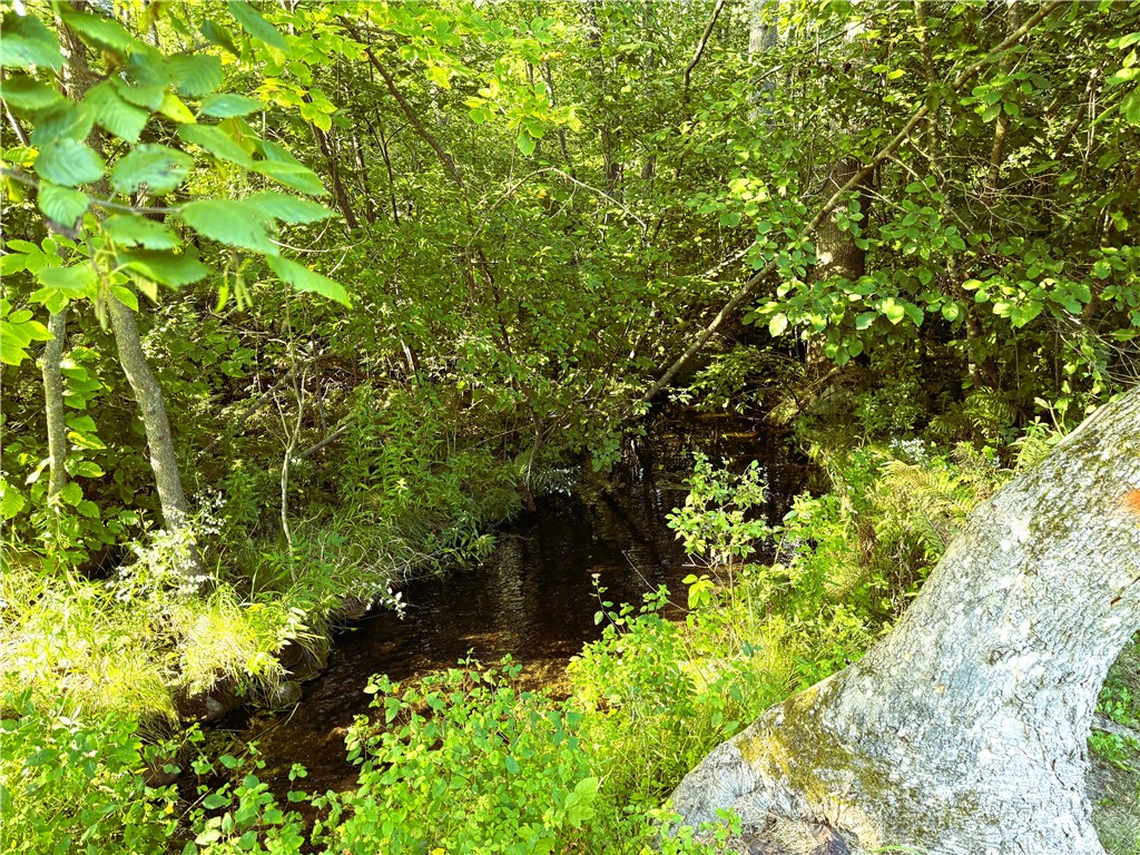 1553 N Wooddale Road