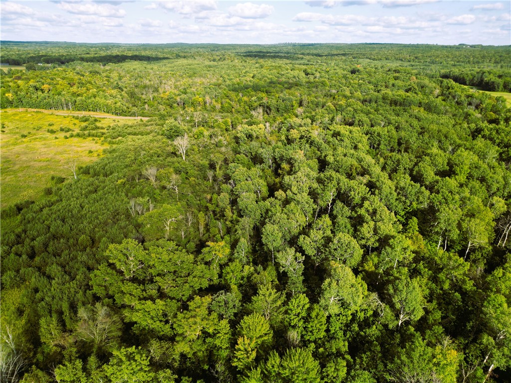 1553 N Wooddale Road