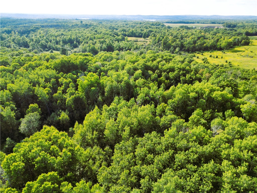 1553 N Wooddale Road