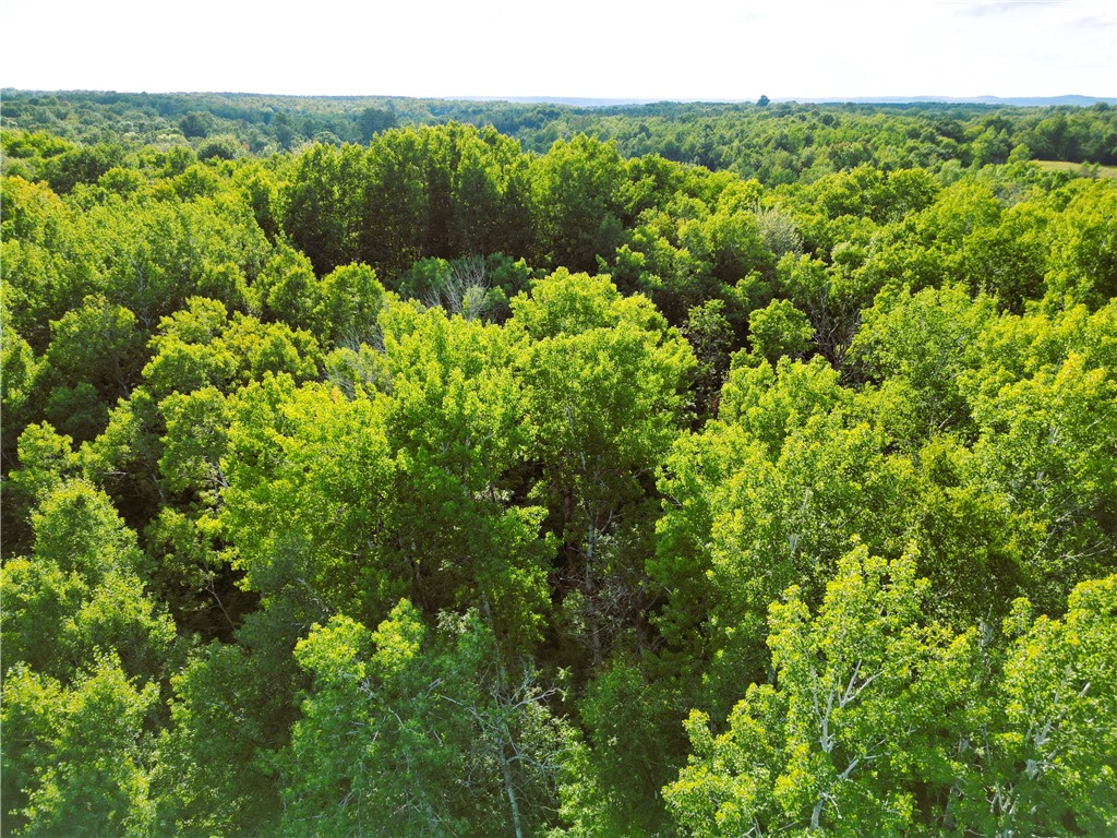 1553 N Wooddale Road