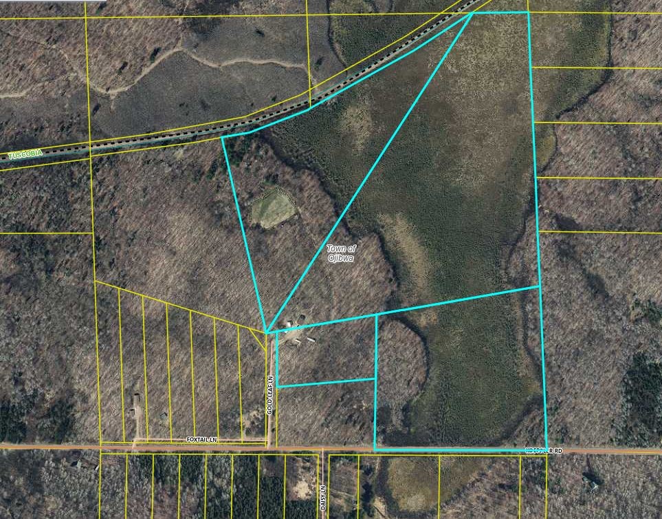 4546 N Gold Leaf Lane