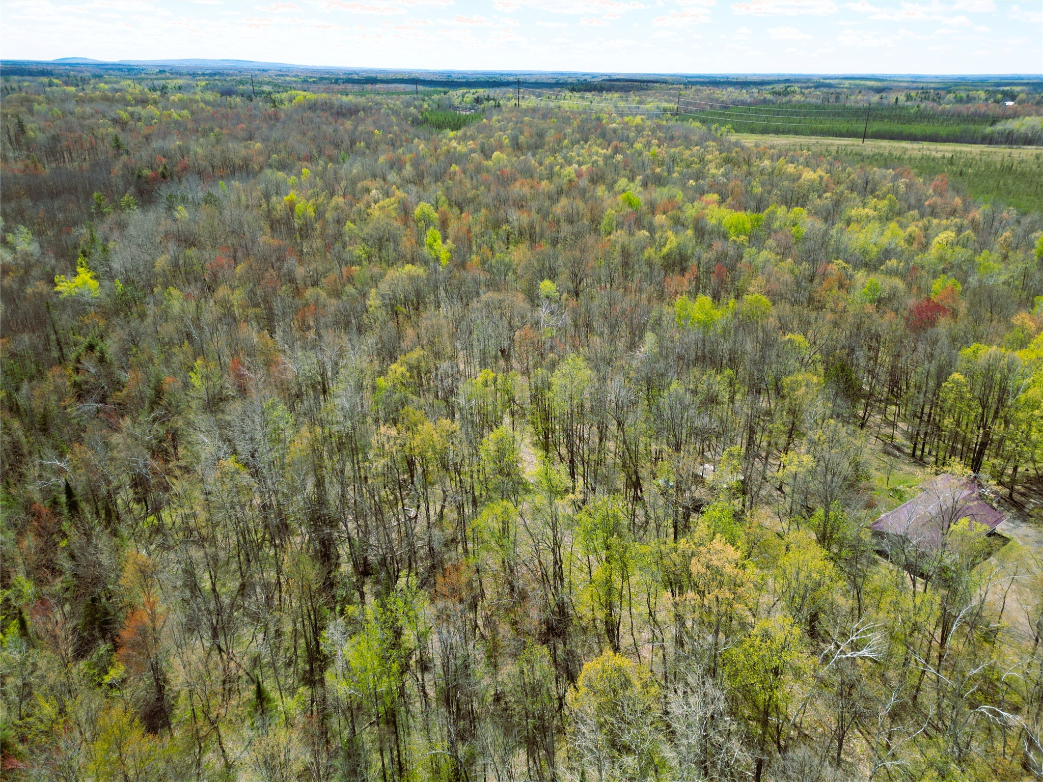 96+ Acres on White Birch Ridge Road